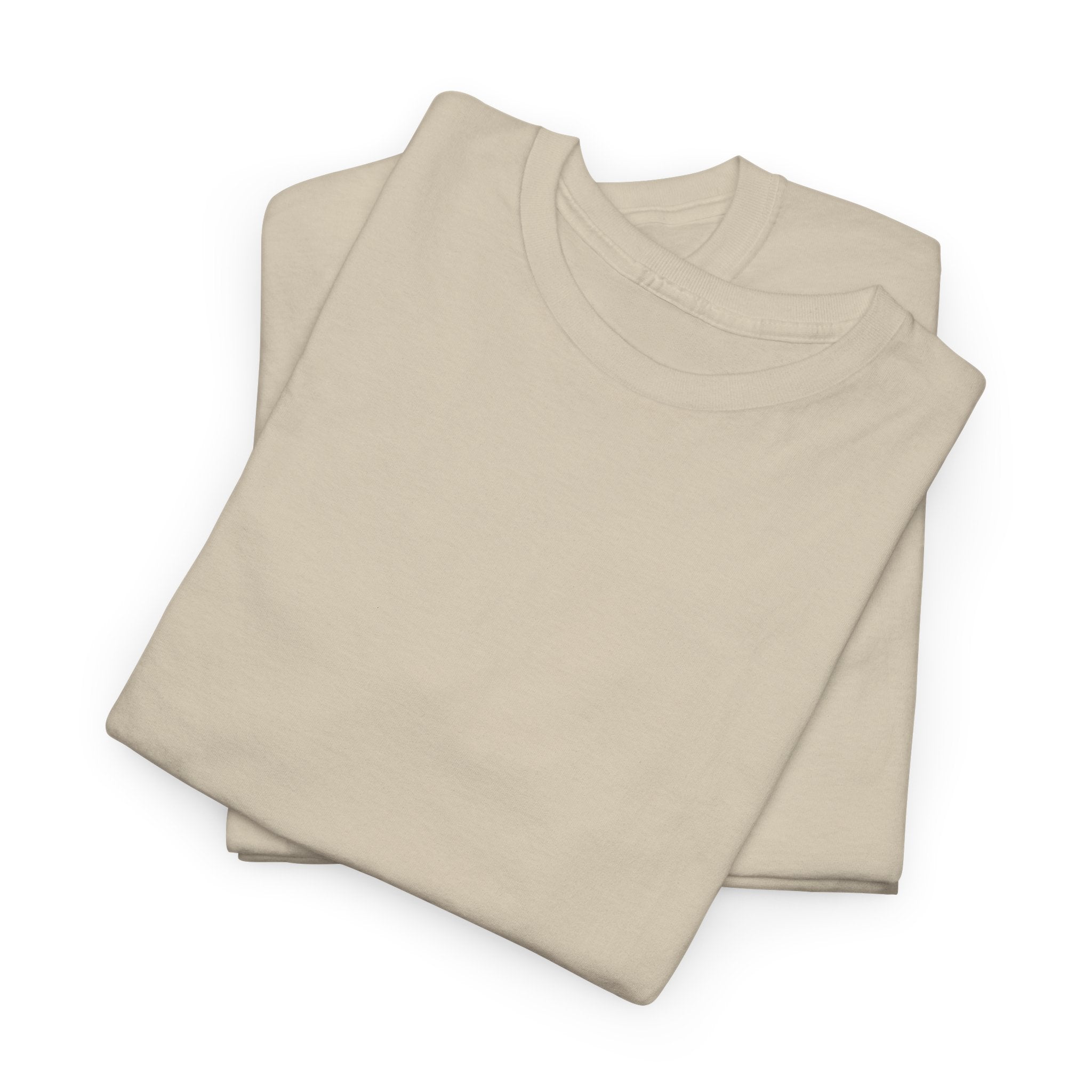 Pickleball Couple T‑Shirt - Heat Mess