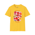 Nuances de tomates T-shirt - Heat Mess