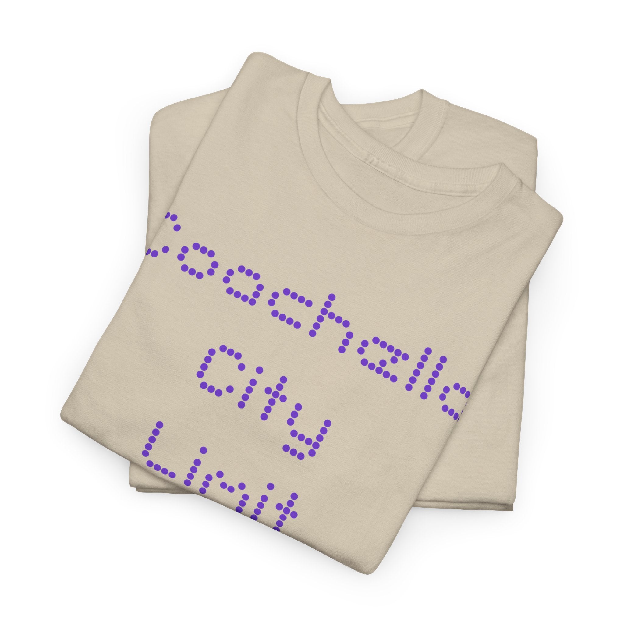 Coachella City Limit T-Shirt