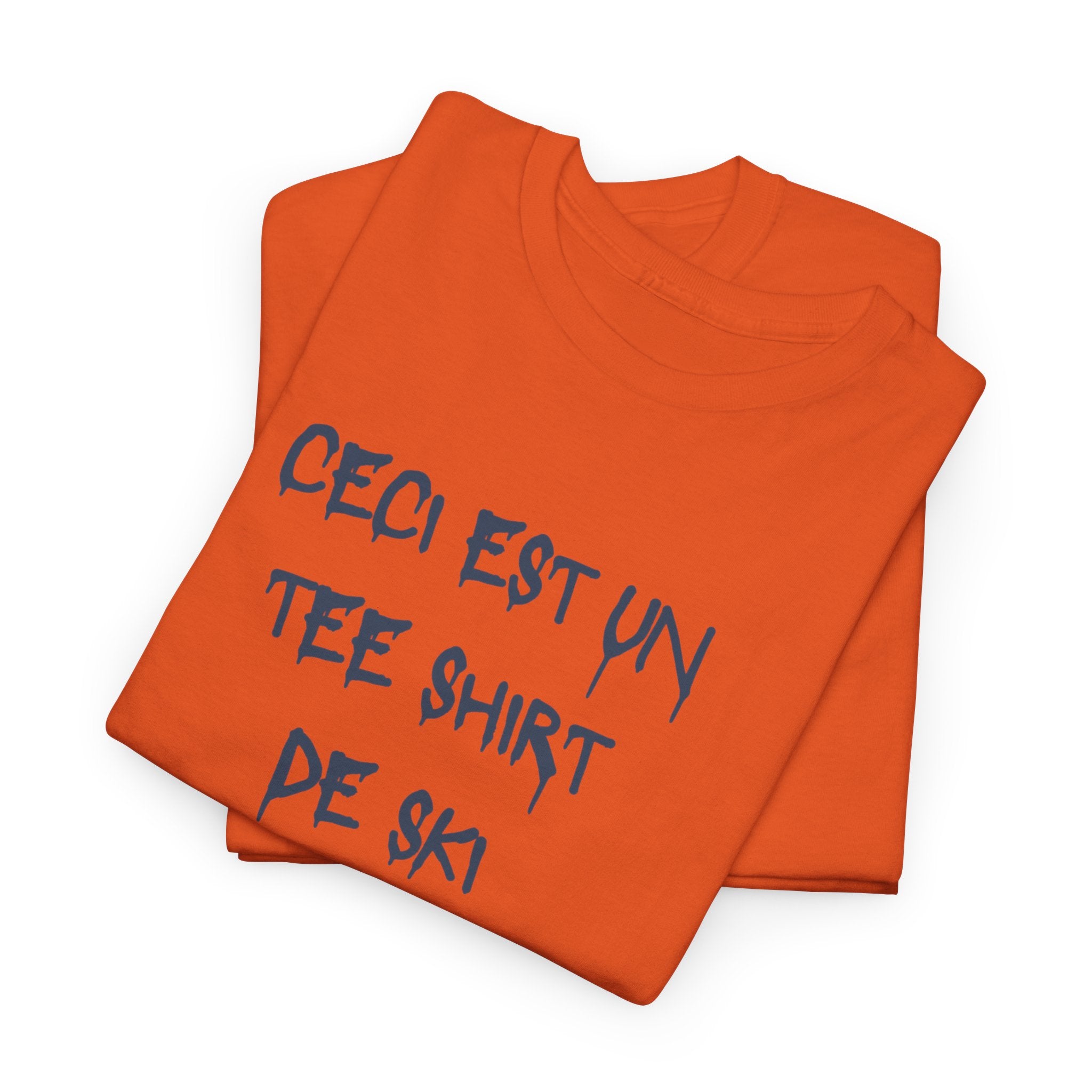 “Ceci est un Tee Shirt de Ski” T-Shirt - Heat Mess
