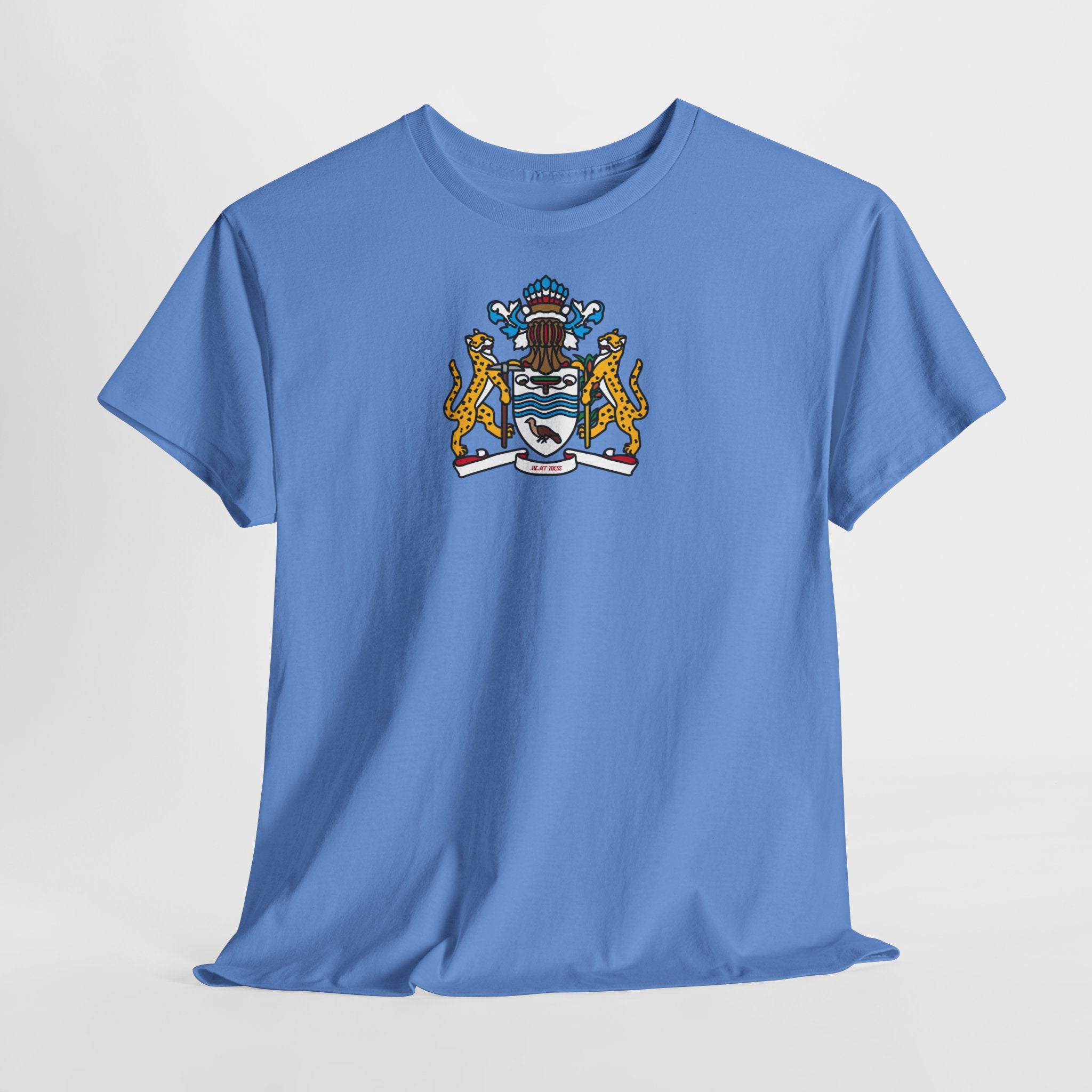Heraldic Family Shield T-Shirt - Heat Mess