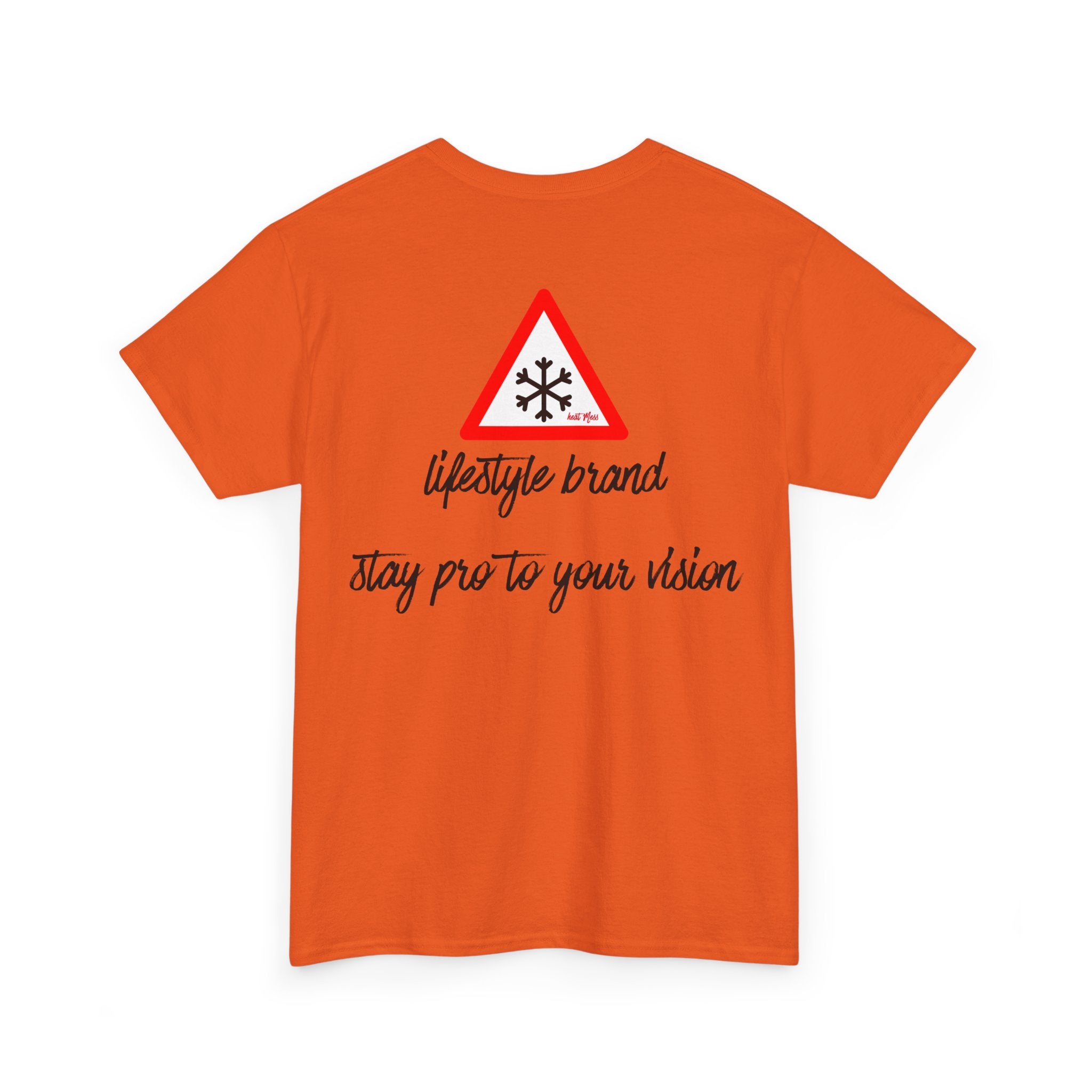 Stay Pro To Your Vision Ski T-Shirt - Heat Mess